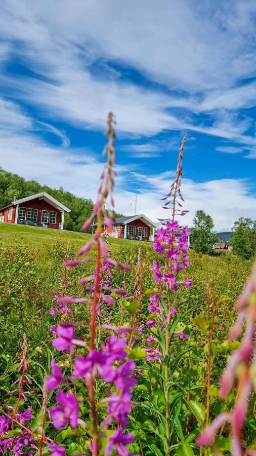 Tana Levajok Lodge المظهر الخارجي الصورة