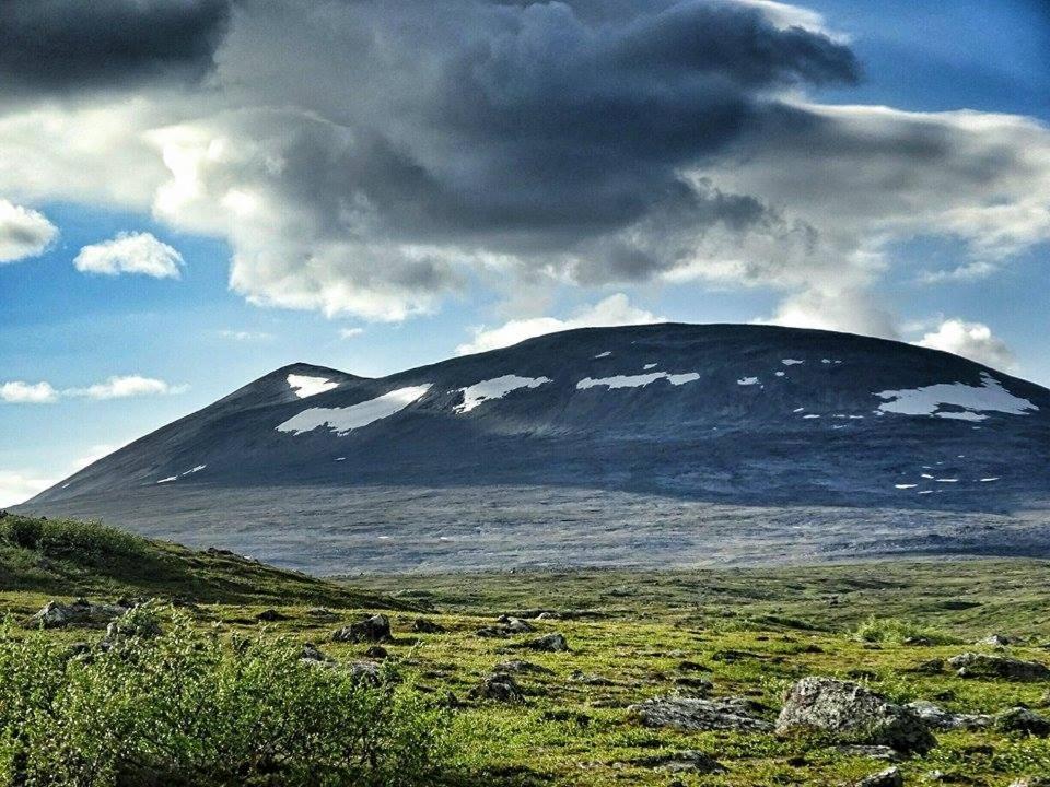 Tana Levajok Lodge المظهر الخارجي الصورة